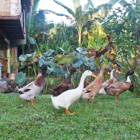 Jasri Dalem Surf Retreat Villa Ngoại thất bức ảnh