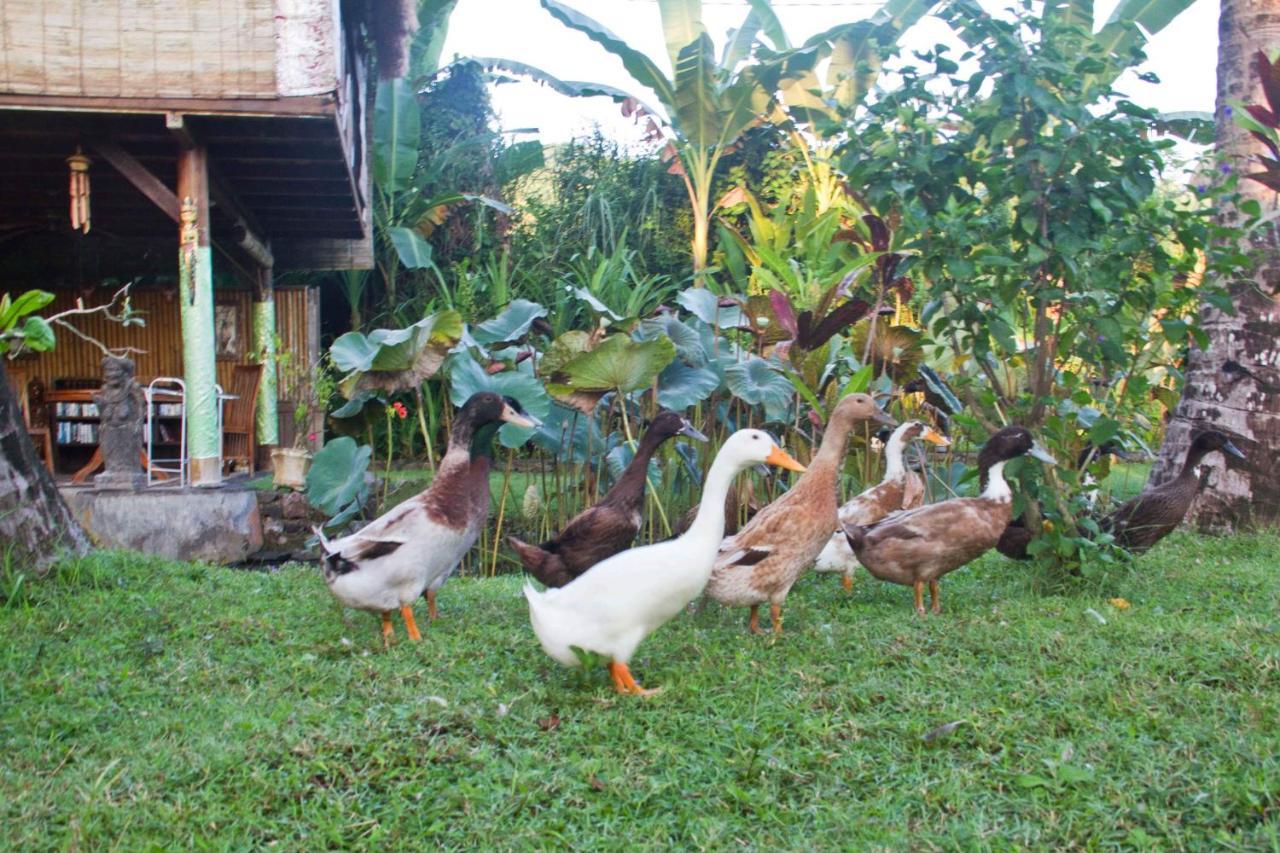 Jasri Dalem Surf Retreat Villa Ngoại thất bức ảnh