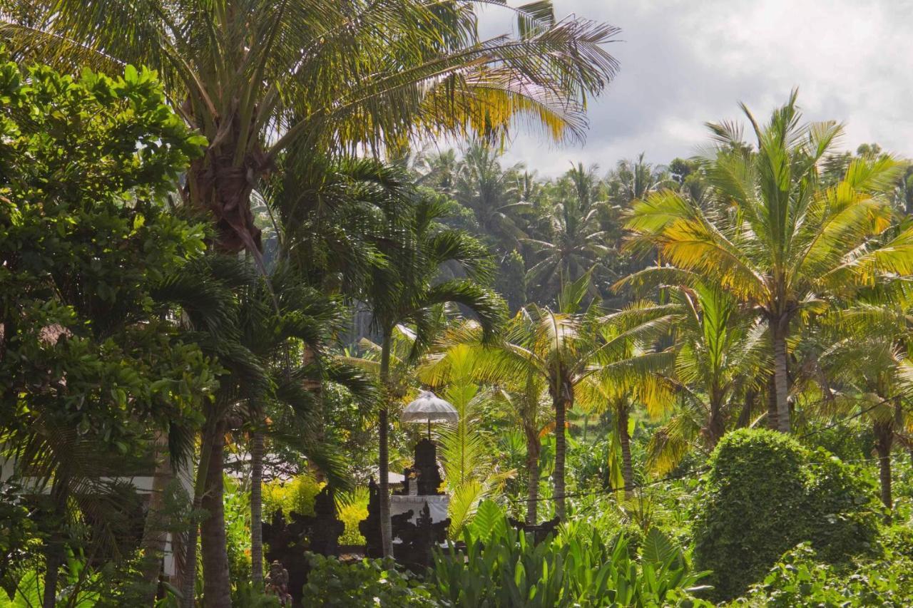 Jasri Dalem Surf Retreat Villa Ngoại thất bức ảnh